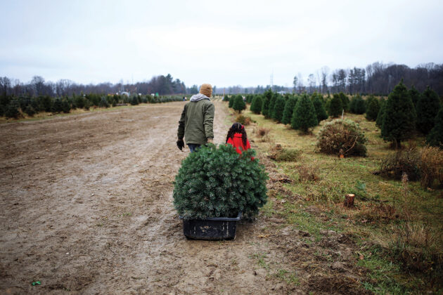 Pioneer Trails Tree Farm