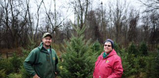 Pioneer Trails Tree Farm