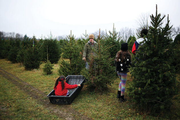 Pioneer Trails Tree Farm