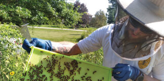 Medina County Apiary Inspector Michael Mohn