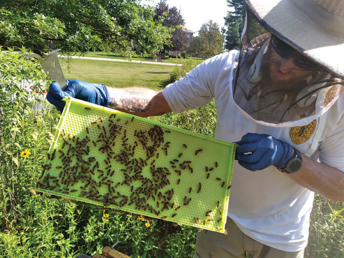 Medina County Apiary Inspector Michael Mohn Medina County Apiary Inspector Michael Mohn