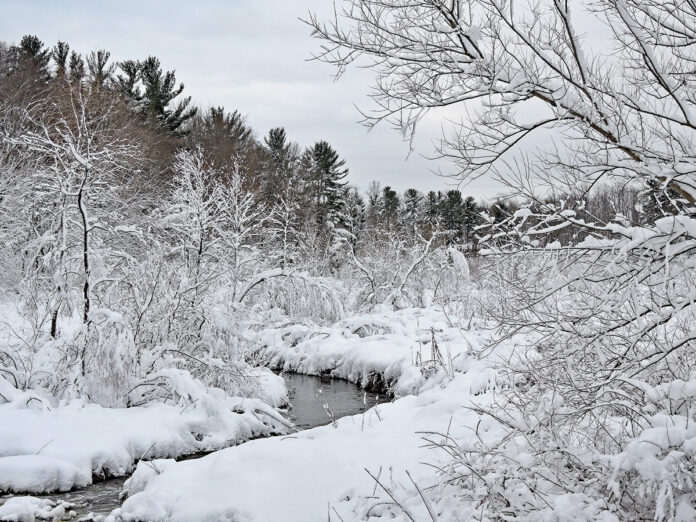 A snowy landscape A snowy landscape