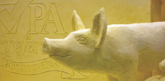 butter pig
