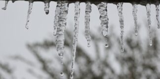 icicles