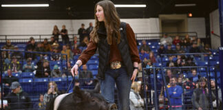 reserve champ hog pa farm show