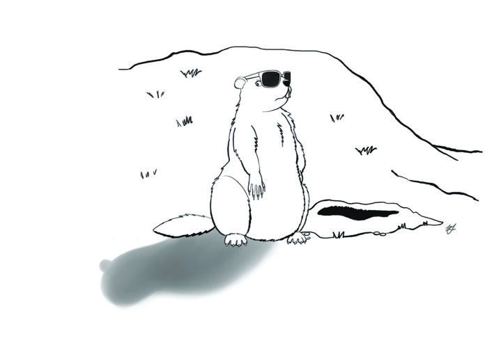 groundhog sketch groundhog sketch