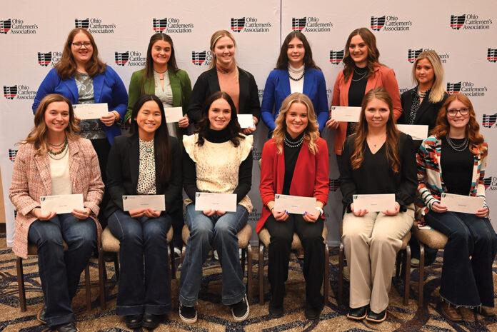 beef scholarship winners beef scholarship winners