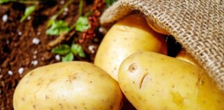 potatoes