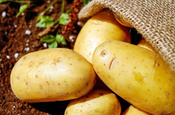 potatoes potatoes