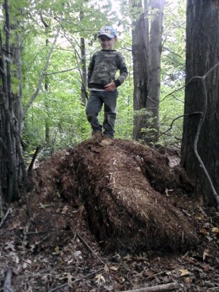 Daniel in the woods