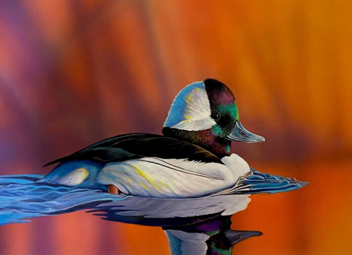 duck stamp duck stamp