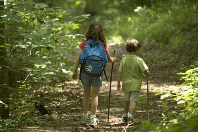 hiking kids hiking kids