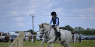 horse jumping