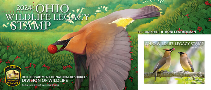 2024 Ohio Wildlife Legacy Stamp 2024 Ohio Wildlife Legacy Stamp