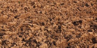 abstract, agriculture, full hd wallpaper