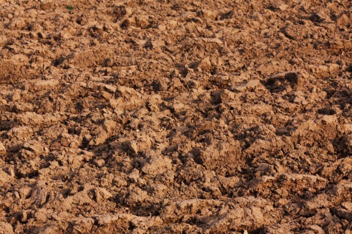 Photo by PublicDomainPictures abstract, agriculture, full hd wallpaper