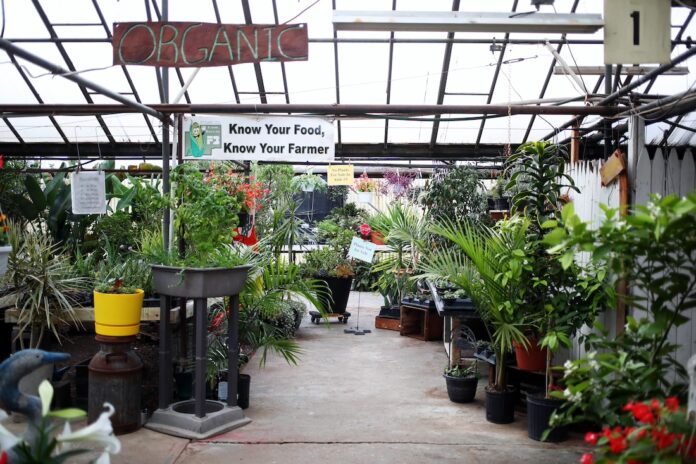 greenhouse1