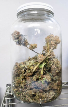Cleveland School of Cannabis