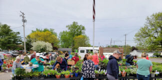 plant sale