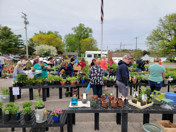plant sale plant sale
