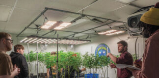 Cleveland School of Cannabis