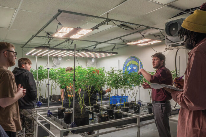 teachin Cleveland School of Cannabis
