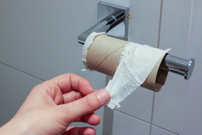 toilet paper toilet paper