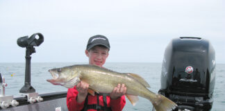 Lake Erie Walleye
