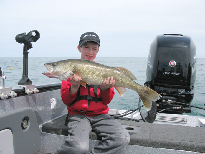 Lake Erie Walleye Lake Erie Walleye