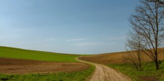 dirt road
