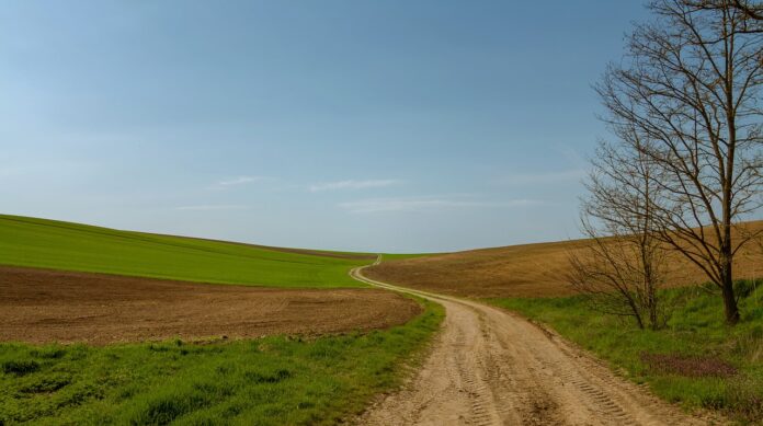 dirt road dirt road