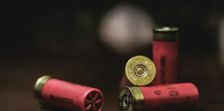 red and gold shotgun shells
