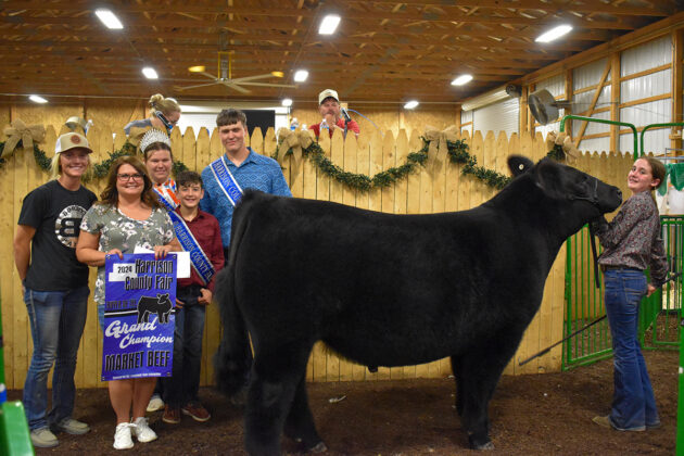 GRAND CHAMPION BEEF