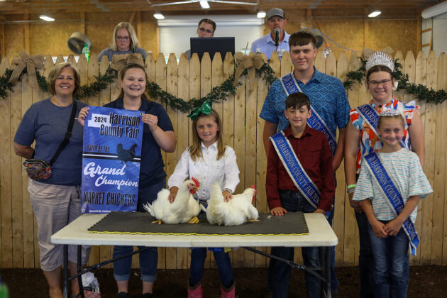 GRAND CHAMPION CHICKENS