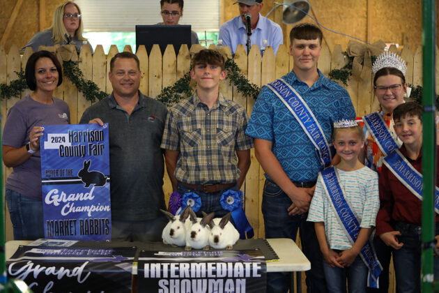 GRAND CHAMPION RABBITS