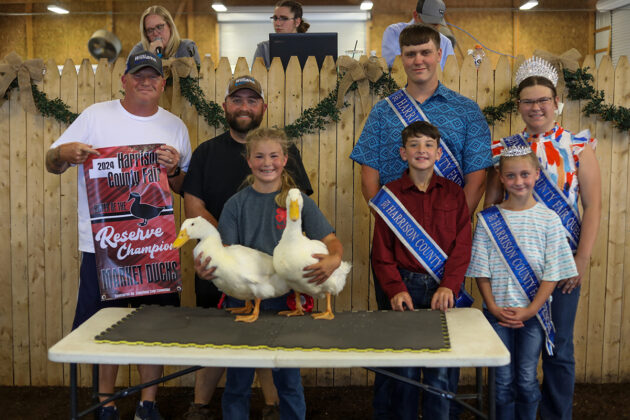 RESERVE CHAMPION DUCKS