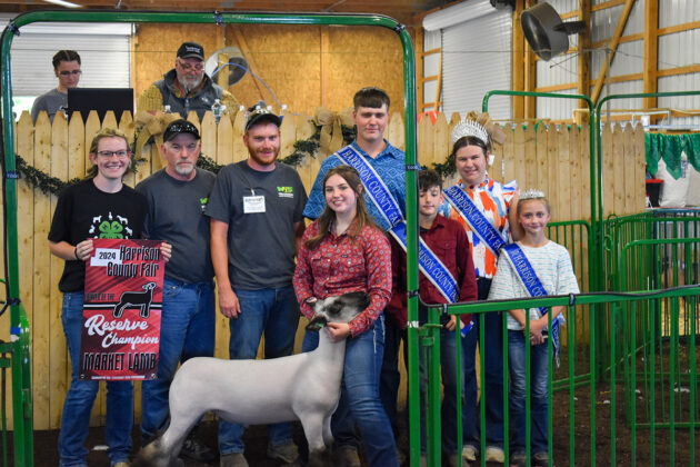 RESERVE CHAMPION LAMB