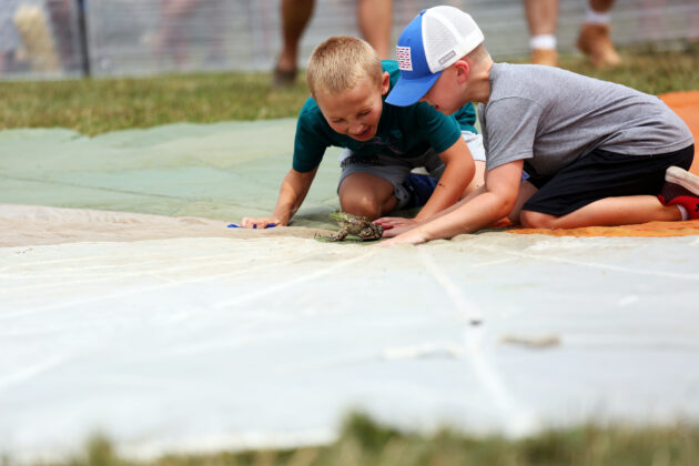 Valley City Frog Jump Festival