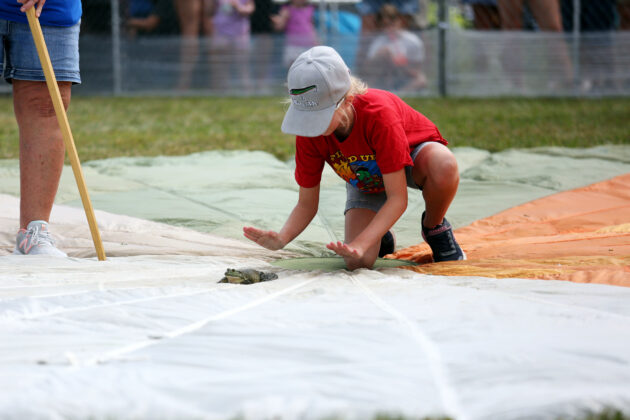 Valley City Frog Jump Festival