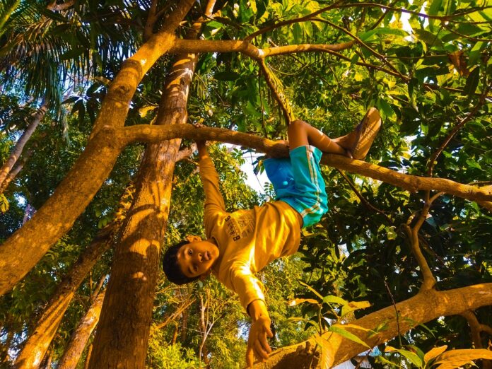 Photo by Mymoon Humayun a man climbing up a tree in a forest