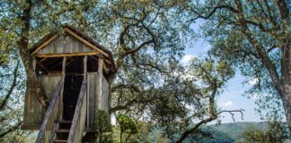 treehouse