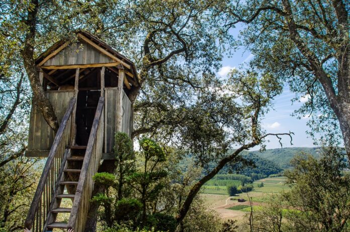 treehouse treehouse