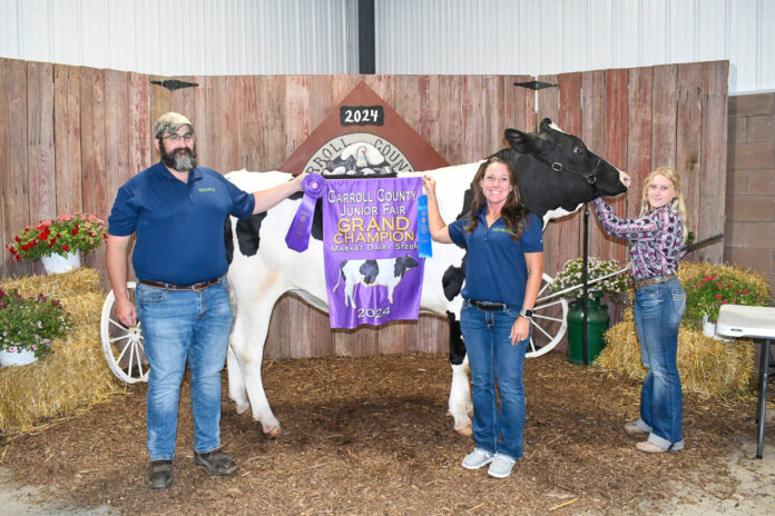 GRAND CHAMPION DAIRY STEER: ASPEN UJCICH