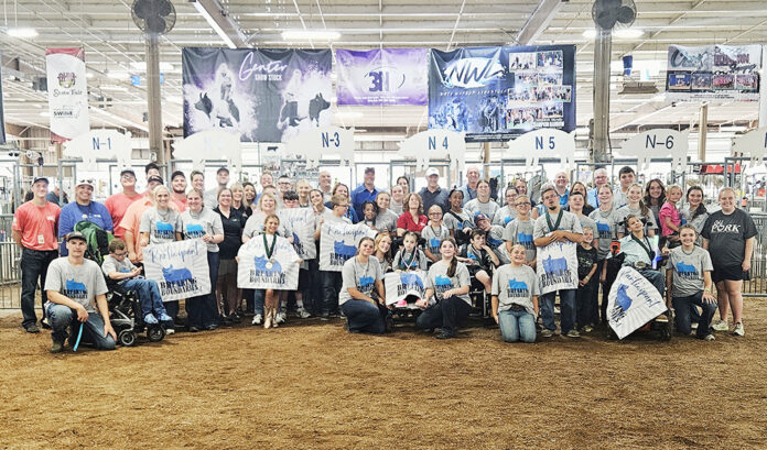 Second Breaking Boundaries Pig Show Second Breaking Boundaries Pig Show