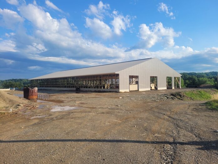 brunton dairy new