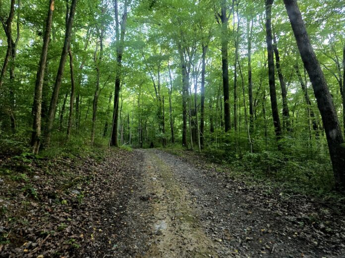 drive uphill