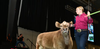 grand champion beef ohio state fair