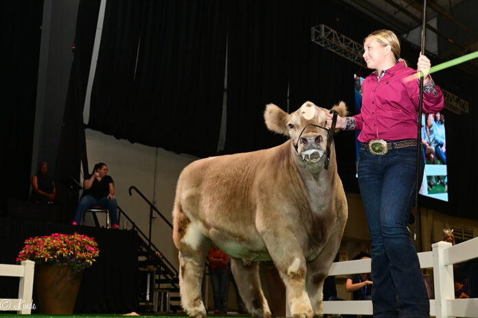 grand champion beef ohio state fair grand champion beef ohio state fair