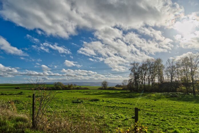 pasture