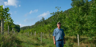 Reclaimed Tree Farm